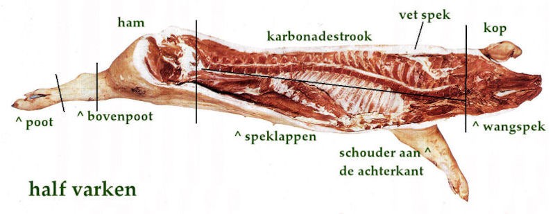 Varkensvlees wetenswaardig