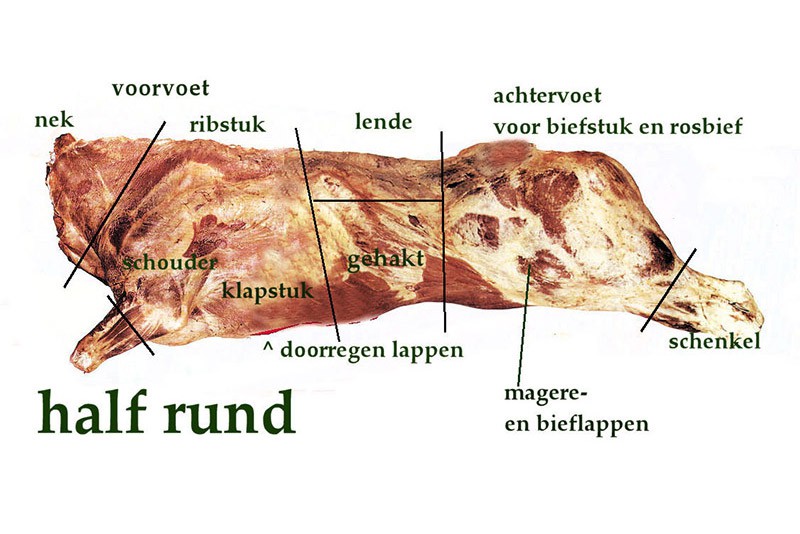 Rundvlees wetenswaardig