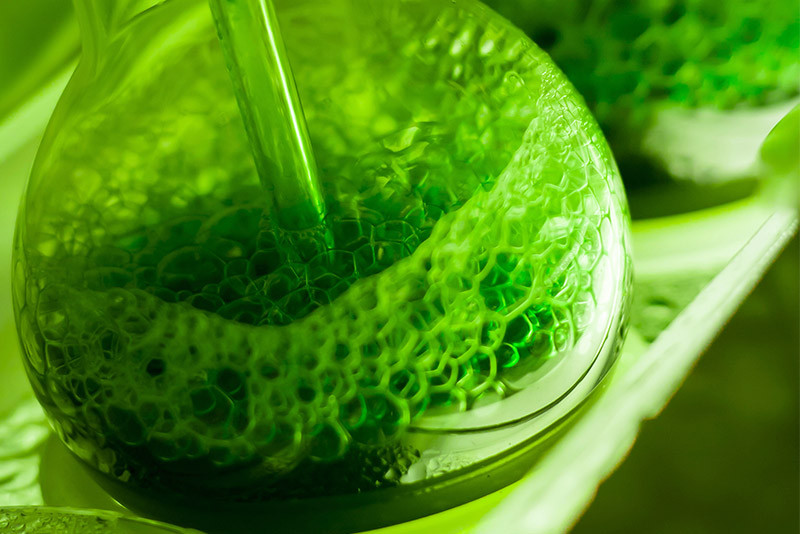 Ambachtelijke groentesapjes zijn rijk aan gezonde bacteriën