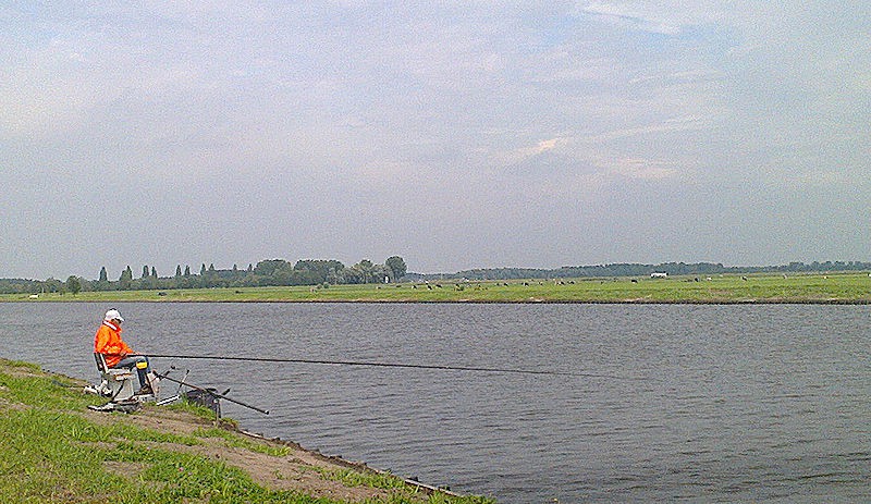 Zoetwatervis