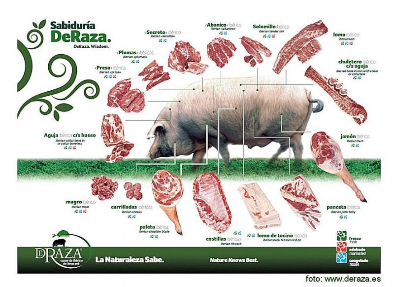 Iberico varken