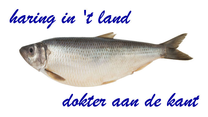 Spreekwoorden en gezegden over vis