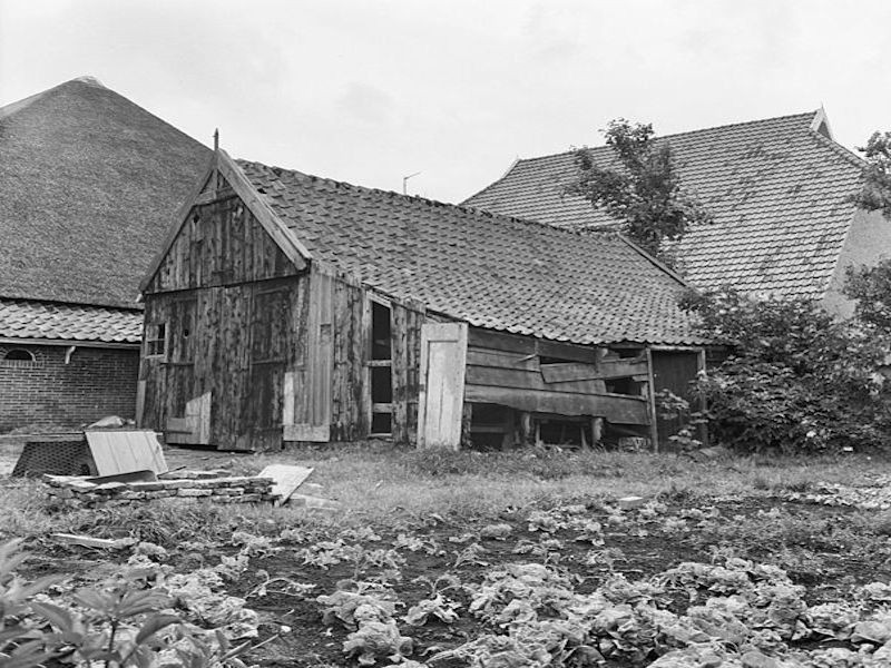 Historie van de groenteteelt