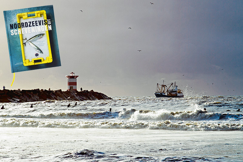 Noordzeevis uit Scheveningen