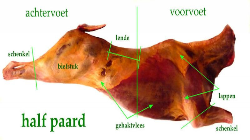 Paardenvlees wetenswaardig