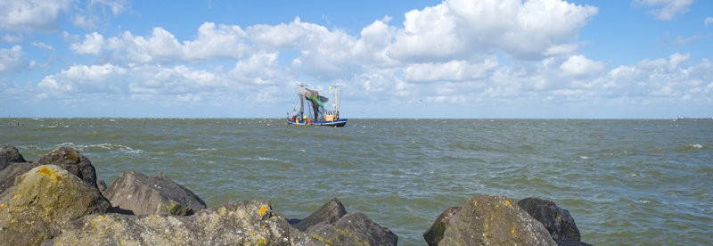 Beroepsvisserij