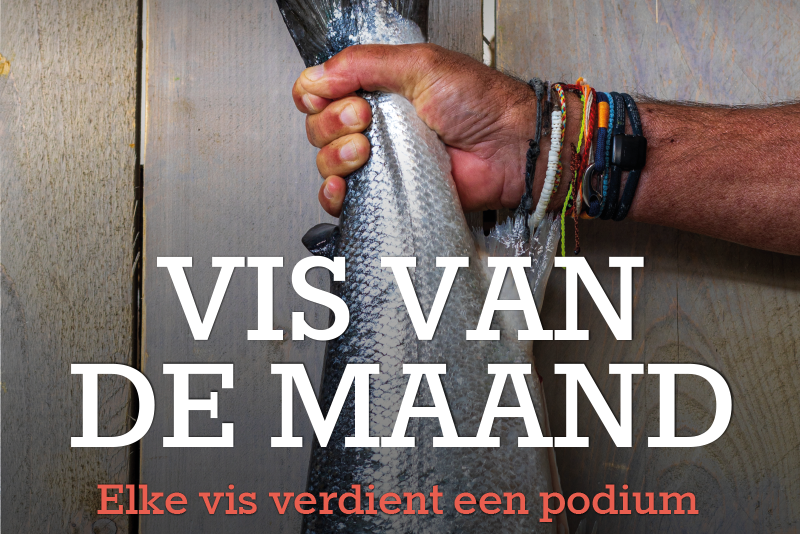 Geen vishaak, maar een ‘haakje naar vis’