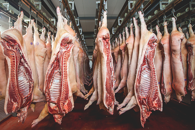 Coronabesmetting slachthuizen: gevolgen voor slagers
