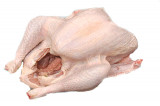 Hele kalkoen