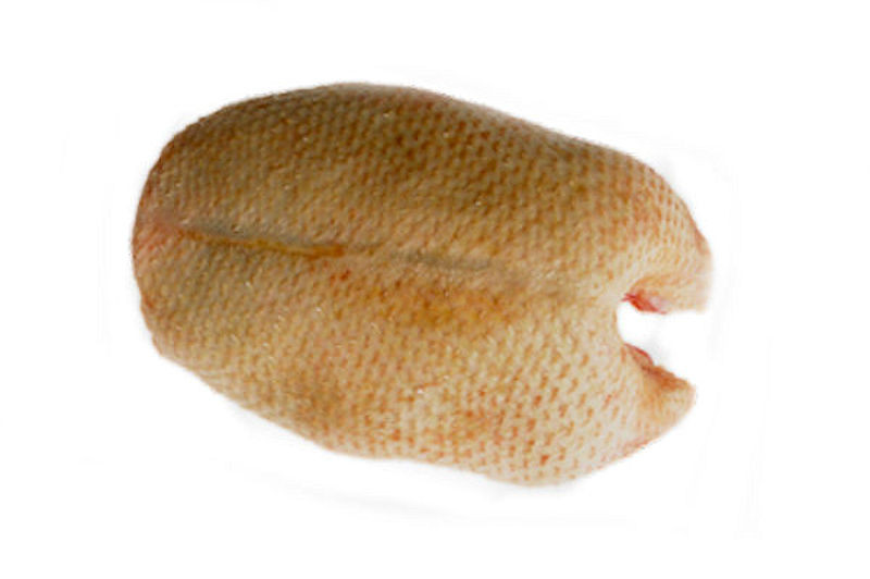 Eendenborst