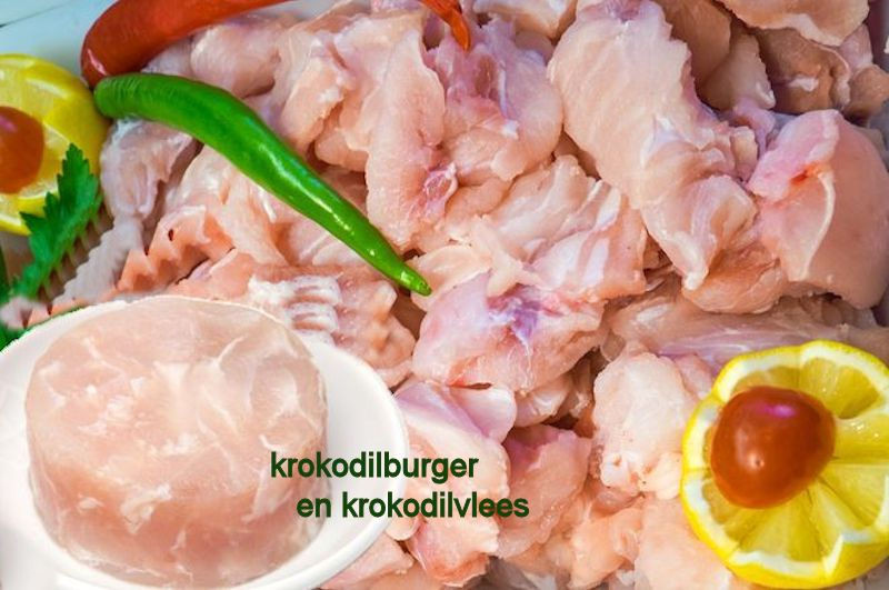 Krokodillen vlees