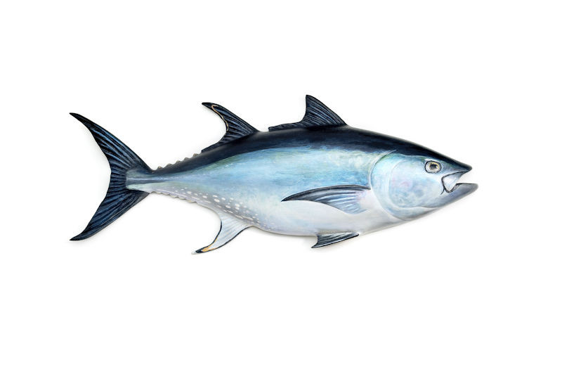 Tonijn