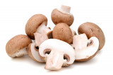 Champignons