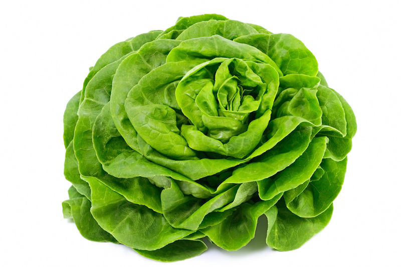 Kropsla