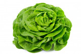 Kropsla