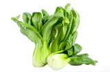 Amsoi