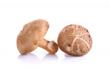 Shiitakes