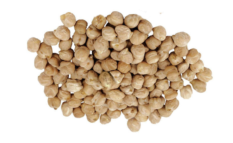 Kapucijners