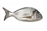 Brasem