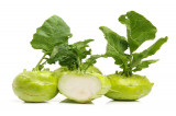 Koolrabi