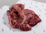 Iberico morro