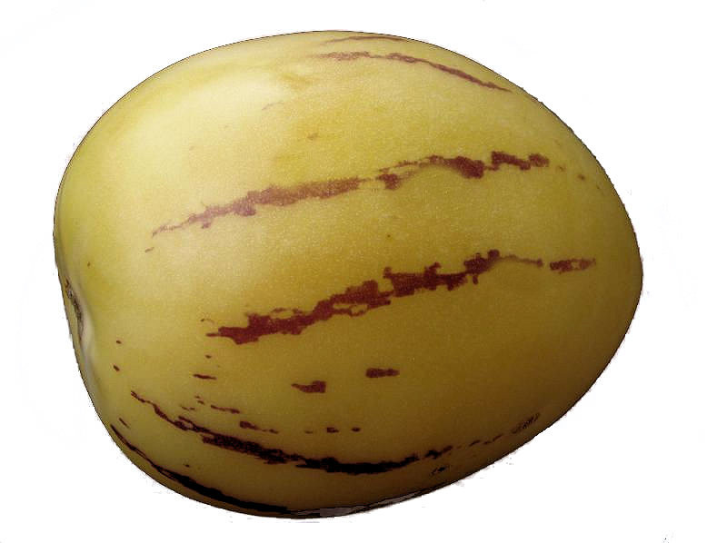 Meloenpeer