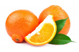 Minneola