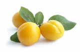 Mirabelle