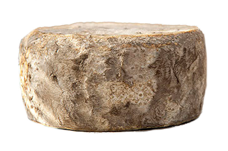 Oudwijker Pietra