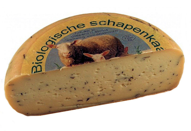 Schapenkaas met zeekraal