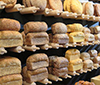 Brood