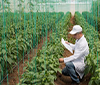 Informatie agf-specialist