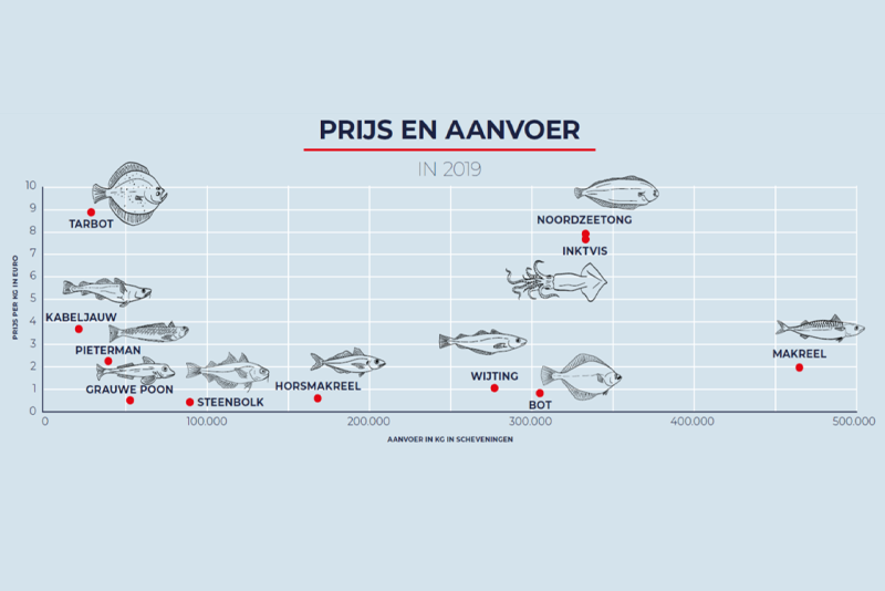 Onderzoek naar beter verdienen met vis uit eigen zee