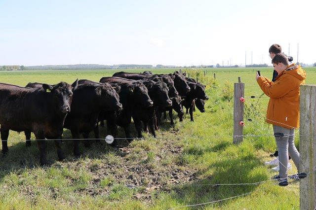 SVO Goes naar Angusfokkerij